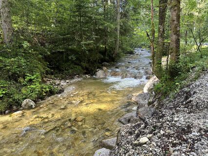 Foto de justasimpleguy a lo largo del recorrido