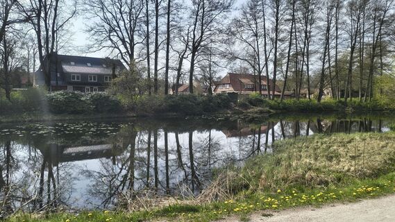 Foto von Sauerpurzel entlang der Tour