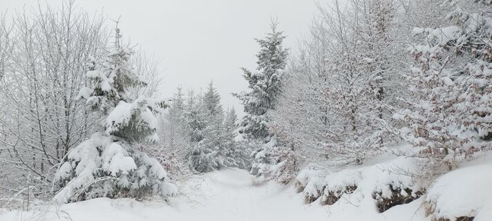 Fotografia z Sylwiasuchy76 na trase
