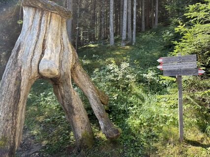 Foto de Thorsten Tom Freund a lo largo del recorrido