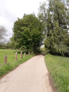 Feldweg unterhalb Krummhardt