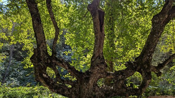 Foto von Ziegler Em1304 entlang der Tour