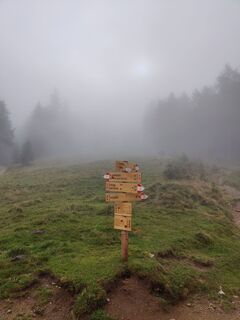 Fotografie z Stetti na trase
