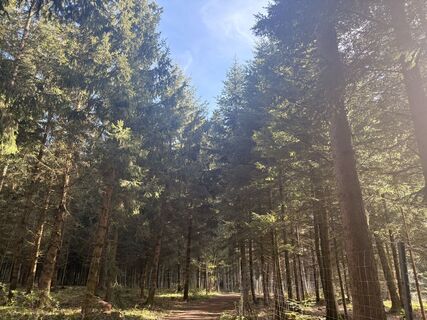 Foto de Nina Astleitner a lo largo del recorrido