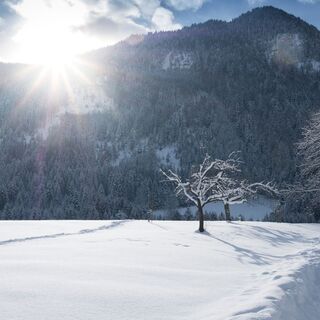 Winterwandern in Reith i.A.
