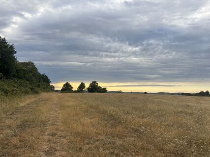 Photo de Reti Alicia le long du parcours