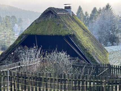 Foto de Simon Seiffer a lo largo del recorrido