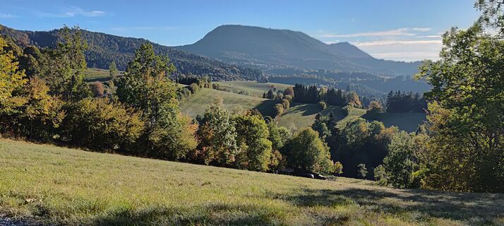 Photo de wolfkl le long du parcours