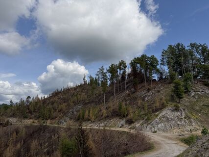 Photo de firebird 93 le long du parcours