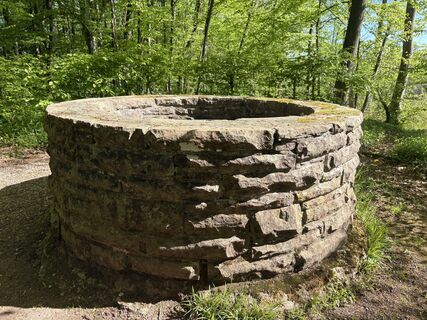 Fotografija s spletne strani Anja Richter na poti