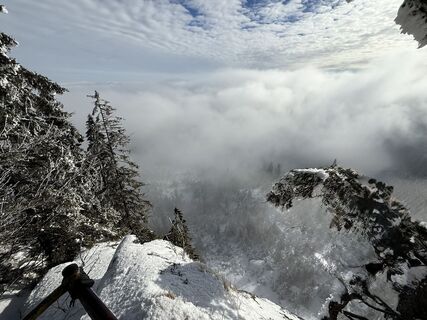 Fotografija s spletne strani Natur_erleben_dg na poti