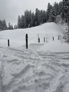 Foto de Motzi a lo largo del recorrido