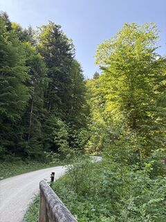 Foto von Heinz Sperl entlang der Tour