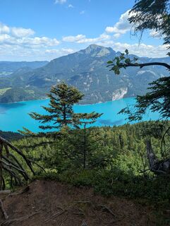 Photo de Dietmar Hein le long du parcours