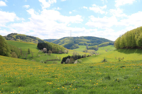 Blick vom Schönwasen in Richtung Hoheck