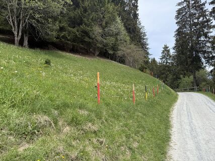 Foto von Rico Vincenz entlang der Tour