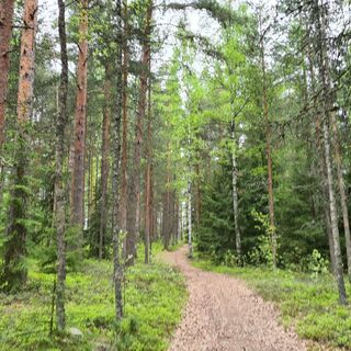 Auf dem Kapatuosianischen Naturlehrpfad