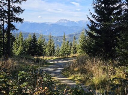 Foto von TwilightTea entlang der Tour