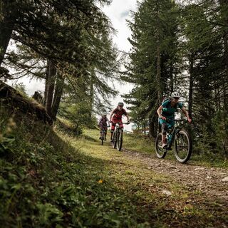 Mountainbiker im Wald von Sädol in Richtung Col du Gibidum