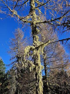 Fotografia z Don  Pedro na trase