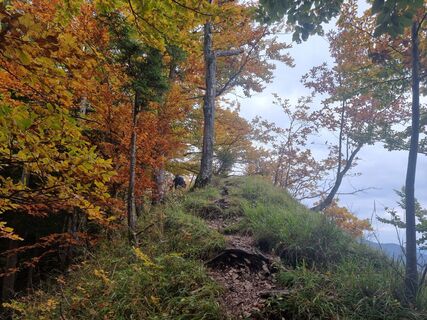 Zdjęcie z Felix wzdłuż trasy