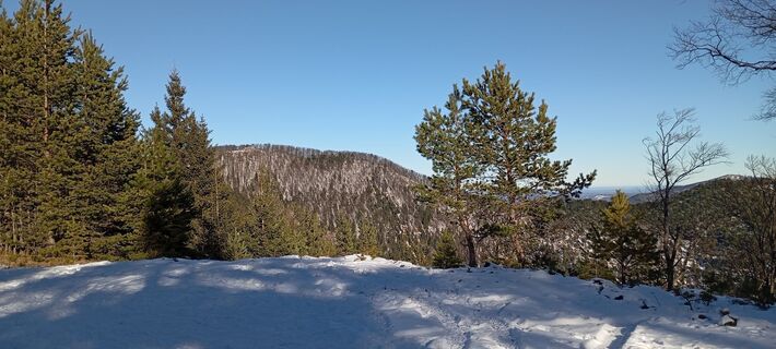 Foto von Harald Puschacher entlang der Tour