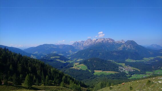 Foto von Betzenbergfex entlang der Tour