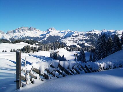Schrägzau mit Rätikon-Blick
