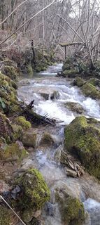 Fotografija s spletne strani Milena Dragoš na poti