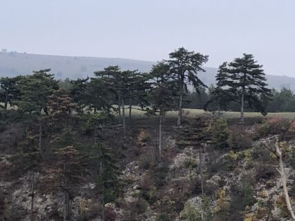 Fotó a Lajos Jozsa honlapról a túra során