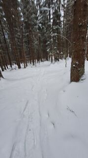 Fotografia z Regina Fleischmann na trase