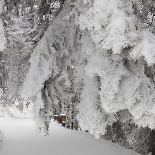 Foto von Daniele Da Rio entlang der Tour