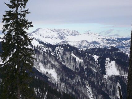 Kragelschinken/Plöschkogel