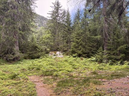 Foto von Stucki Sven entlang der Tour