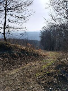 Fotografia z Poschacher na trase