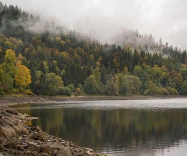 Wandern auf dem Albsteig