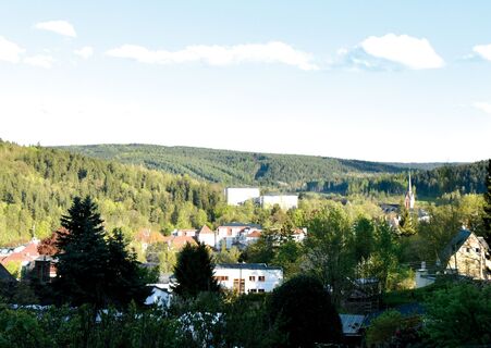 Blick auf Bad Elster vom Arnsgrüner Kirchsteig