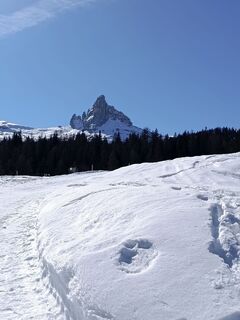 Foto von Enrico T entlang der Tour