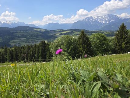 Foto von Gerhard Mild 1 entlang der Tour