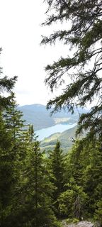 Fotografija s spletne strani mokri na poti
