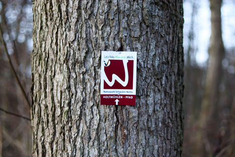 Markierung an Baum