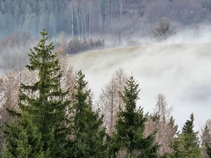 Fotografia z TwilightTea na trase