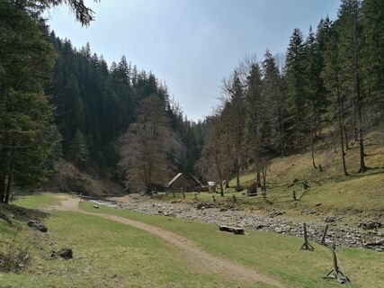 Fotografie z Žaneta Schelling na trase