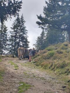 Foto von b.egger entlang der Tour