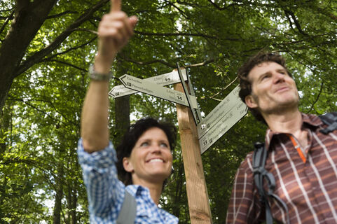 Start am Wanderwegweiser Friesenheiligen