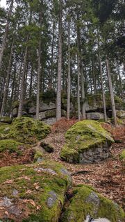 Foto von Klaus Lehner entlang der Tour