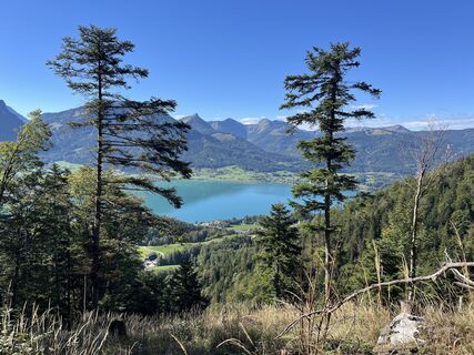 Photo de Nadine A. le long du parcours