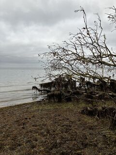 Foto von jurix entlang der Tour