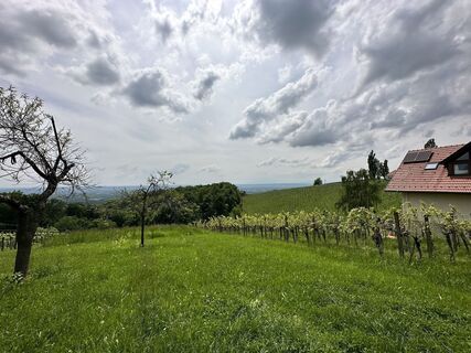 Foto von Walter Koch 4 entlang der Tour