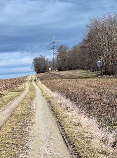Photo de Mimi le long du parcours